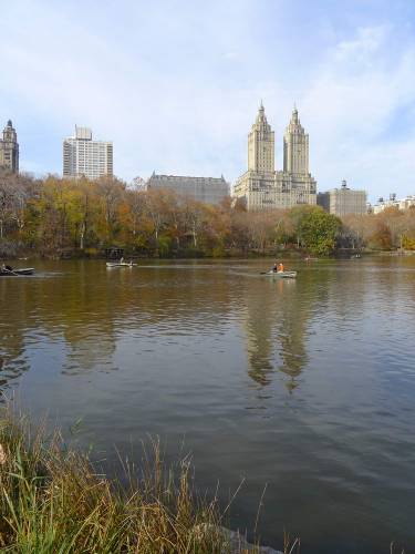 USA_2011-11-20 12-32-25
